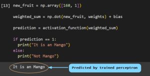 How to Build Perceptron in Python?