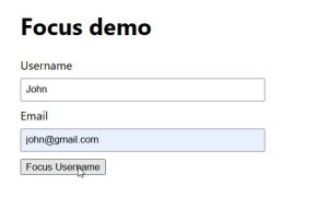 jQuery Set Focus on Element