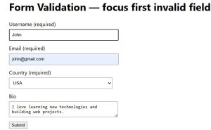 jQuery Set Focus on Element