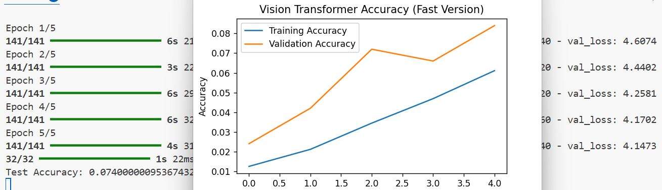 Image Classification with Vision Transformer in Keras