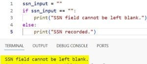 Python Check If Variable Is Empty String