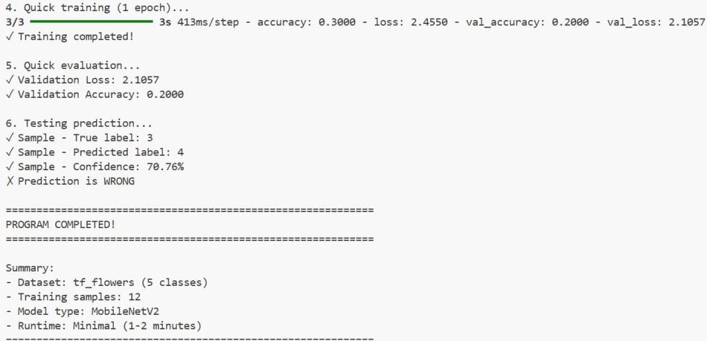Image Classification with BigTransfer (BiT) Keras