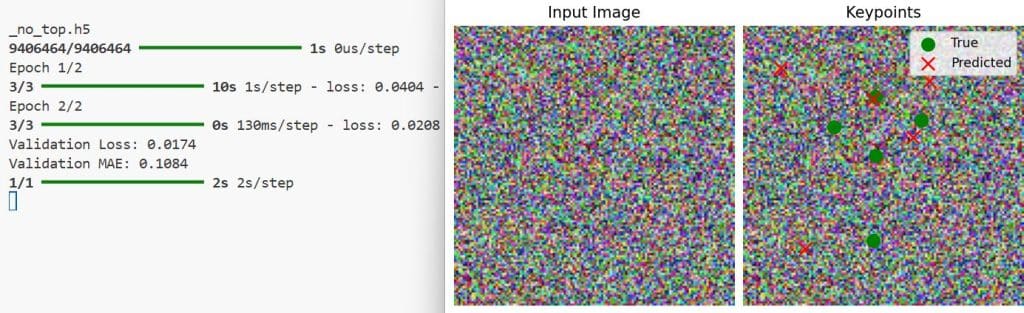 Keypoint Detection with Transfer Learning in Keras