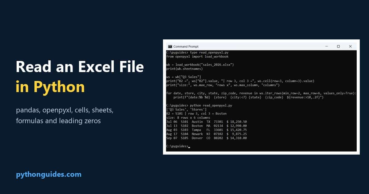 Python read Excel file: Command Prompt output of openpyxl reading sales rows from an xlsx workbook
